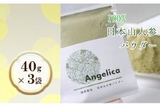 ★希少★日本山人参パウダー40g×3袋