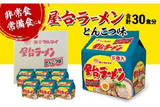 ラーメン 合計30食 屋台ラーメン とんこつ味 とんこつラーメン