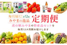 E1 毎月届くみやまの逸品 定期 特産品 野菜 果物 フルーツ 米 酒 味噌 茶 旬