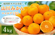 A2 山川 みかん マイルド130 4kg 蜜柑 山川みかん ミカン 厳選 【2024年11月上旬～2024年12月上旬発送予定】