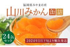 A4 【2024年1月下旬から順次発送】 山川みかん缶詰