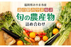A7 　旬の農産物セット