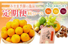 C3 季節の逸品 秋 定期 旬 フルーツ 果実 くだもの 果物 新米 特産品