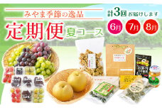 C2 季節の逸品 夏 特産品  定期 フルーツ 詰め合わせ すもも ぶどう デラウェア 梨