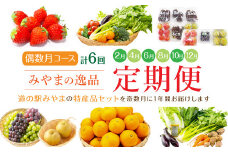D2  かくげつの逸品 偶数月 特産品 旬 フルーツ 果物 野菜 セット 農産物 定期