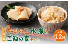 B14 たけのこ組合セット （合計12袋） 水煮 ご飯の素 竹の子 筍