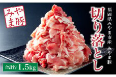 A58 みやま豚切り落とし【合計1.5kg（約500g×3パック）】