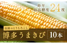 A78 【7月発送】博多うまきび 10本入り 平均糖度20度 とうもろこし