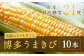 【6月発送】博多うまきび 10本入り 平均糖度20度 奇跡のとうもろこし