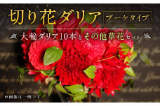 A80 切り花 ダリア ブーケタイプ 大輪ダリア10本とその他草花