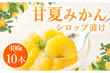 B21 甘夏みかん シロップ漬 400g×10本 瓶入り みかん