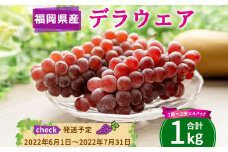 A122 デラウェア 1kg (1～2房×4パック) ぶどう