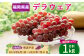 A122 デラウェア 1kg (1～2房×4パック) ぶどう 葡萄