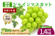 A124 【2023年7月中旬～発送】シャインマスカット 1.4kg (1～2房×4パック) ぶどう