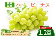 A123 ハニービーナス 1～2房×4パック ぶどう 数量限定