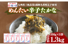 A121 めんたい辛子 たかな 250g×5箱 高菜 漬物