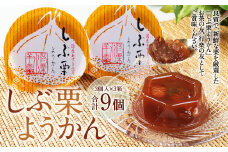 A132 しぶ栗ようかん 3個入り×3箱 計9個 和菓子 スイーツ