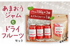 A141 あまおうジャム と ドライフルーツ セット 計470g