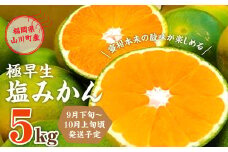A155 福岡県山川産 極早生 塩みかん(緑) 5kg 【2024年9月下旬～10月上旬発送予定】 早採り 蜜柑
