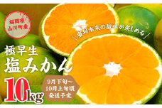 A156 福岡県山川産 極早生 塩みかん(緑) 10kg 【2024年9月下旬～10月上旬発送予定】 早採り 蜜柑