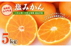 A157 福岡県山川産 塩みかん 5kg 【2024年11月上旬～12月上旬発送予定】 蜜柑 花藻塩