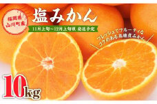 A158 福岡県山川産 塩みかん 10kg 【2024年11月上旬～12月上旬発送予定】 蜜柑 花藻塩