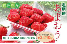 C20【3回定期便】あまおう いちご （約270g×4パック）×3回 合計約3,240g 【2025年1月下旬から順次発送】
