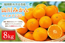B35 山川みかん 8kg マイルド130 数量限定 柑橘 みかん ミカン 蜜柑 【2024年11月上旬～2024年12月上旬発送予定】