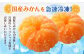 A165 訳あり むかん 3kg (1kg入×3 ) みかん 冷凍 皮むき シャリシャリ