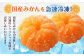 A176 訳あり むかん 1kg (1kg入×2) 合計2kg みかん 冷凍 福岡県 みやま市