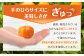 T4 【訳あり】 むかん 1kg (1kg×1) みかん 冷凍 福岡県 みやま市