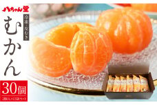 B38 外皮をむいた冷凍みかん 「むかん」30個 （1袋2個入×15袋セット) みかん むかん ギフト 冷凍 福岡県 みやま市
