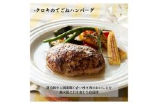 B43 クロキのてごねハンバーグ6個入り（タレ付き） 惣菜 おかず セット 冷凍