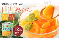 A270 山川みかん缶詰 12缶セット