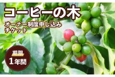 F3 【体験型】コーヒーの木オーナー制度申し込みチケット