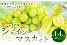 A279 シャインマスカット 約1.4kg（350g×4パック）【2024年8月上旬～2024年9月上旬に順次発送予定】 マスカット 果物 くだもの
