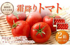 A275 霜降りトマト2箱（1箱：12玉から23玉 950g以上）【2025年2月下旬～5月下旬発送予定】 とまと トマト 霜降り 野菜