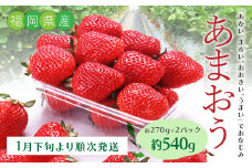 T21 あまおういちご2パック （約270g×2パック） 計約540g 【2025年1月下旬～3月上旬発送予定】 あまおう いちご ギフト フルーツ 果物 苺 くだもの 果実 福岡県 みやま市
