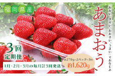 B52【3回定期便】 あまおういちご （約270g×2パック）✕3回 合計約1,620g 【2025年1月下旬から順次発送】 定期 あまおう いちご ギフト フルーツ 果物 福岡県 みやま市
