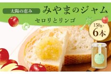 A309 太陽の恵み みやまのジャム セロリとリンゴ 6本入 調味料 ジャム トースト 手作り セロリ リンゴ 福岡県 みやま市
