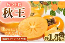 A198 福岡県産 ブランド柿・秋王 約1.5kg（4～6玉） 【2025年10月下旬～11月下旬発送予定】 柿 甘柿 秋王 果物 くだもの フルーツ