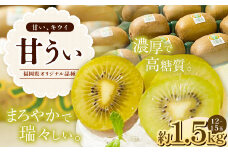 A199 福岡県産 ブランドキウイ・甘うぃ 約1.5kg（12～15玉） 【2025年10月下旬～12月上旬発送予定】 キウイ 果物 くだもの フルーツ