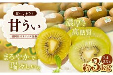 A200  福岡県産 ブランドキウイ・甘うぃ 約3kg（24～33玉） 【2025年10月下旬～12月上旬発送予定】 キウイ 果物 くだもの フルーツ