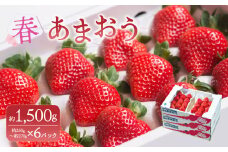 A159 【春】 あまおう 6パック いちご 【2026年2月上旬～3月下旬以降発送予定】