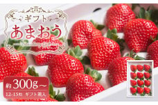 A160 【ギフト】 あまおう 12～15粒 いちご 【2025年12月上旬～2026年3月下旬発送予定】
