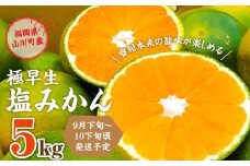 A155 福岡県山川産 極早生 塩みかん(緑) 5kg 【2025年9月下旬～10月下旬発送予定】 早採り 蜜柑