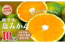 A156 福岡県山川産 極早生 塩みかん(緑) 10kg 【2025年9月下旬～10月下旬発送予定】 早採り 蜜柑