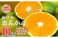福岡県山川産 極早生 塩みかん(緑) 10kg