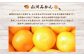福岡県山川産 塩みかん 10kg