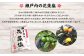 福岡県山川産 塩みかん 10kg